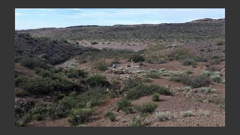 Los restos fósiles están siendo tamizados y analizados en la Universidad Nacional del Comahue.