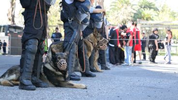 Perros de la policía custodiando el ingreso de los hinchas. (Alan Monzón/Rosario3.com)