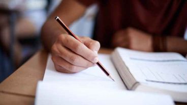 En la actualidad, hay 353 estudiantes cursando el plan de estudios.