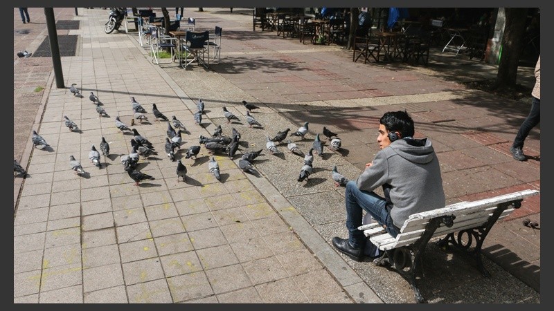 Un joven en peatonal San Martín y palomas a su alrededor este marte. (Alan Monzón/Rosario3.com)