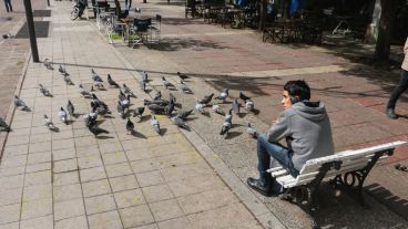 Un joven en peatonal San Martín y palomas a su alrededor este marte. (Alan Monzón/Rosario3.com)