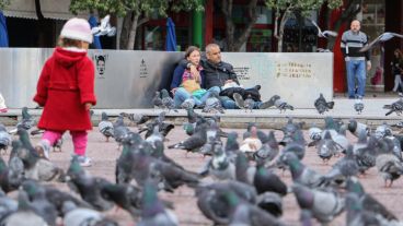 El número de palomas en plaza Montenegro aumentó considerablemente. (Alan Monzón/Rosario3.com)