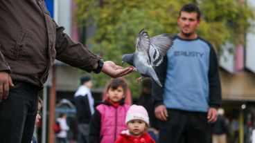 Un hombre le da de comer a una paloma. Los de atrás miran asombrados. (Alan Monzón/Rosario3.com)