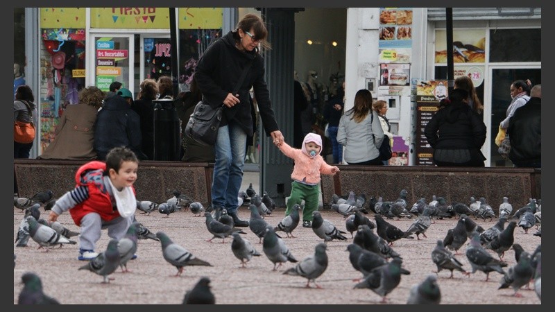 Los más chicos disfrutan de las aves. (Alan Monzón/Rosario3.com)