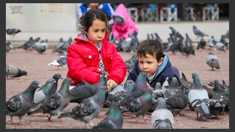 Las palomas son la atracción de los niños en plaza Montenegro. (Alan Monzón/Rosario3.com)