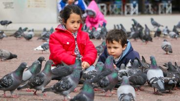 Las palomas son la atracción de los niños en plaza Montenegro. (Alan Monzón/Rosario3.com)