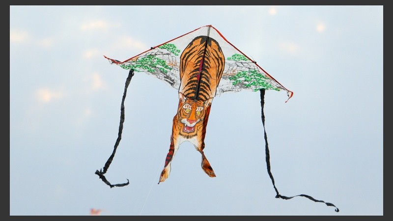 De todas formas y colores. (Alan Monzón/Rosario3.com)