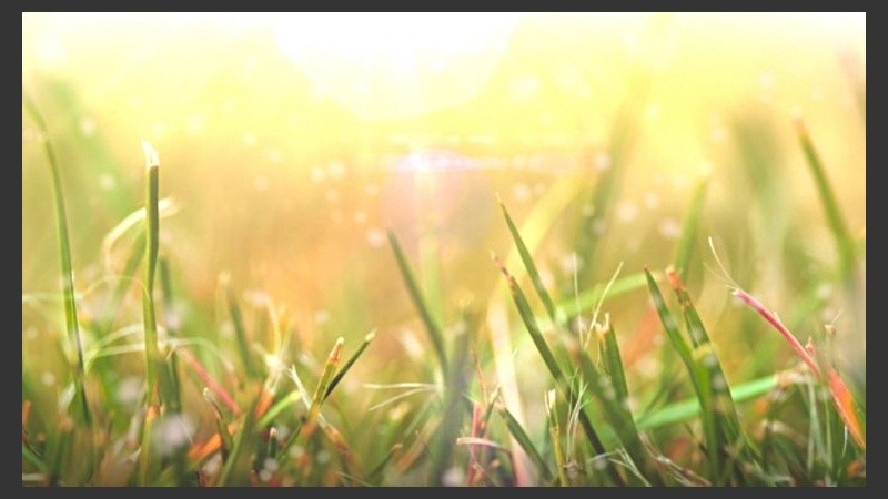 Lunes luminoso en la ciudad y alrededores. 