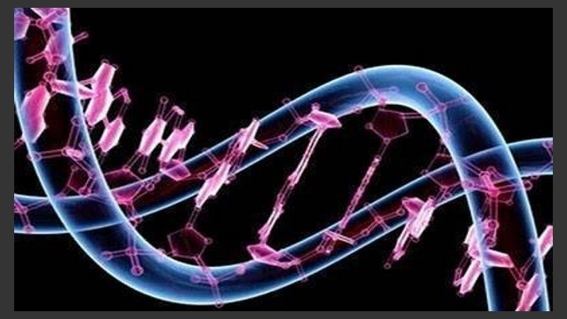 La metabolómica está llamada a completar la información proveniente del estudio de los genes, sus roles y funciones, en los seres vivos.