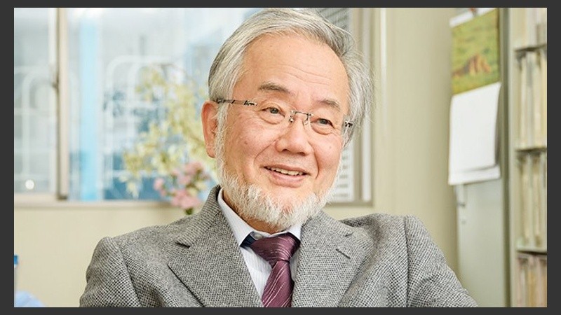 Yoshinori Ohsumi