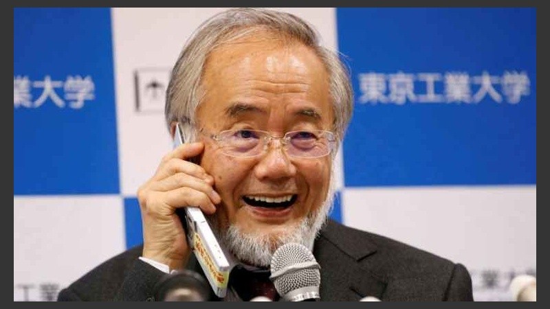 Ohsumi es profesor honorario de la Universidad tecnológica de Tokio.