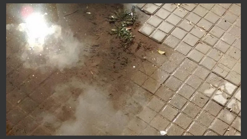 Aparece el sol en el agua. 