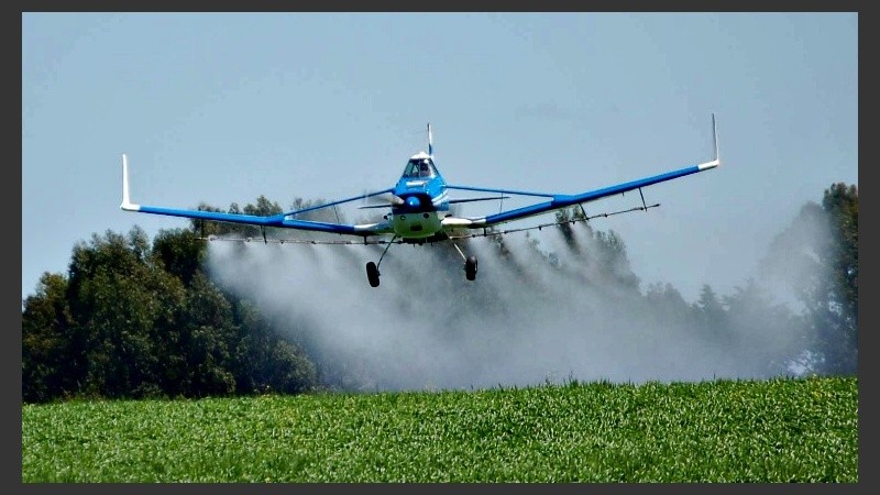 Para Del Frade es necesario actualizar la legislación que data de 1995.