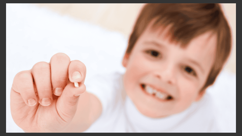 Los dientes de leche de los humanos pierden sus raíces antes de desprenderse.