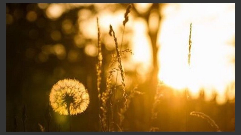 El sol se queda casia hasta el final del sábado.