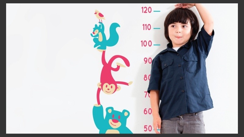 Permite generar sistemas de información con los que luego pueden trazarse mapas de situación por área y a nivel nacional.