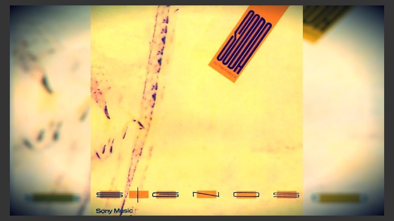 “No hay un modo, no hay un punto exacto, te doy todo y siempre guardo algo”. 