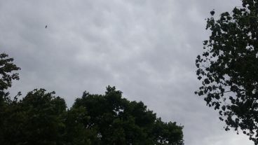 Un cielo casi todo gris, pero sin lluvia.
