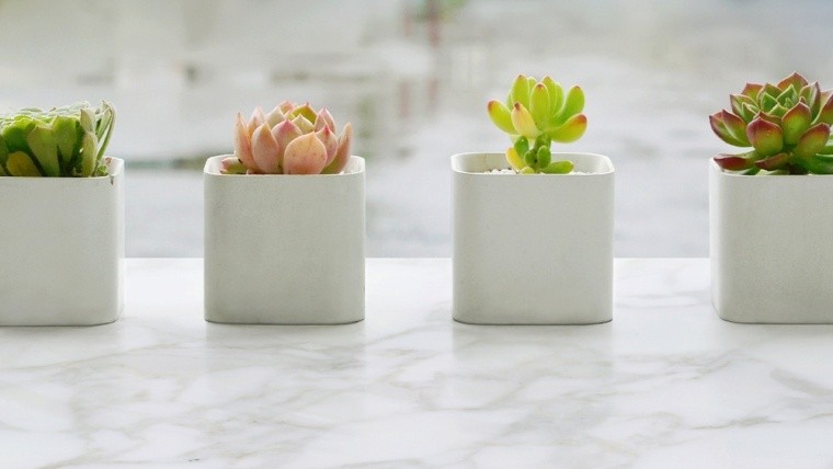 Macetas De Cemento Para Hacer En Casa Arte En Taringa