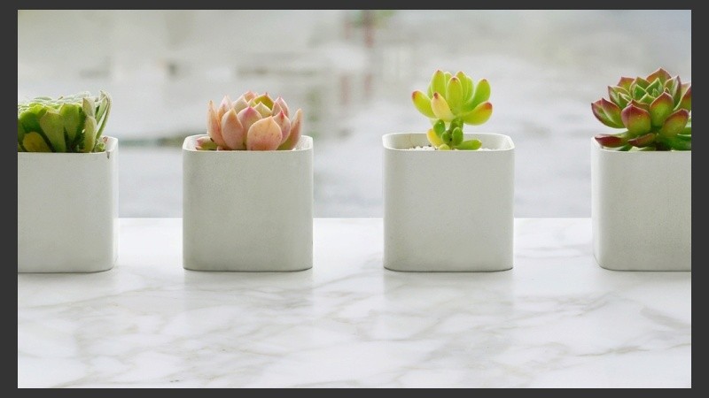 Es más fácil de lo que imaginás ¡y este tipo de macetas duran una eternidad!