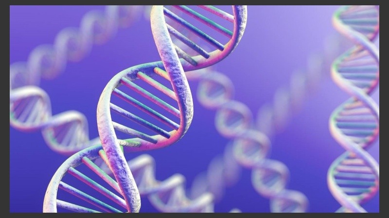 La Atrofia Medular Espinal (AME) es una enfermedad genética que se manifiesta como debilidad motora de la médula espinal.