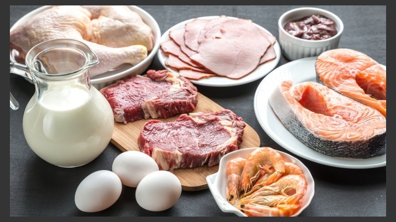 Una dosis única de fenilalanina (proteína digerida) reduce la ingesta de alimentos.