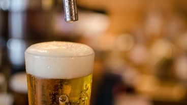 El especialista dijo que la espuma sirve para catar y juzgar la calidad de la cerveza.