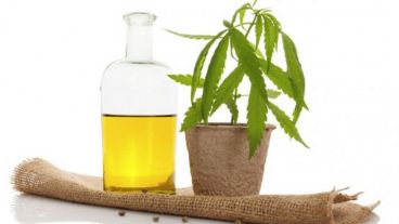 El aceite de cannabis se habilitó para uso medicinal en Chubut.