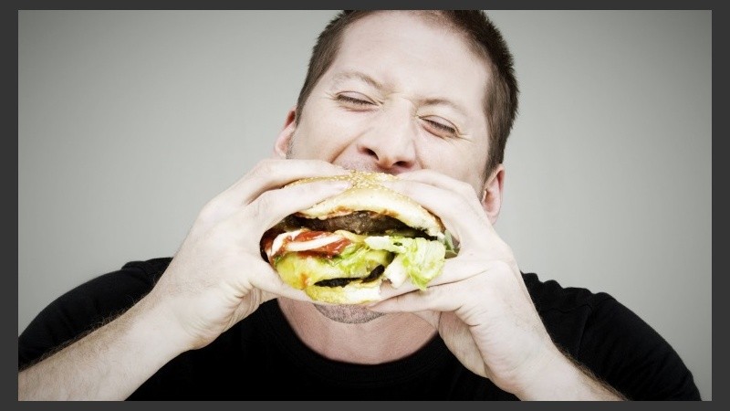 El ser humano necesita para vivir alrededor de 60 nutrientes, entre proteínas, hidratos, grasas, vitaminas, minerales y fitonutrientes.