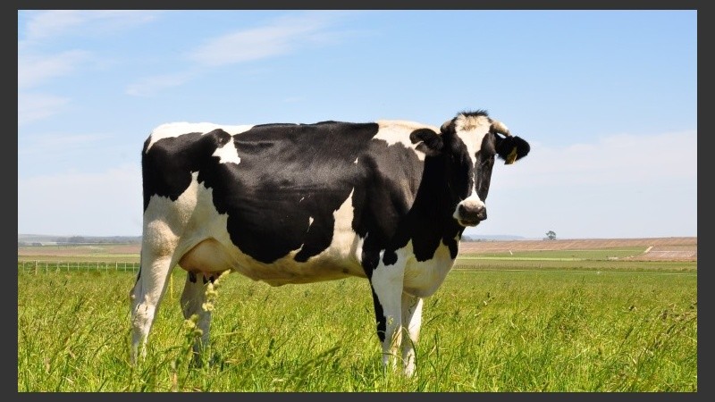 El objetivo es concretar alianzas interinstitucionales en temas vinculados con la producción y comercialización ganadera.