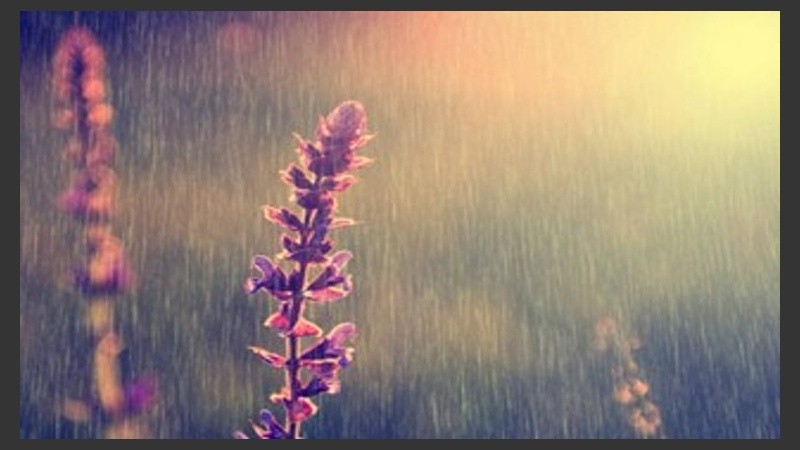 Agua que viene bien para el verde. 