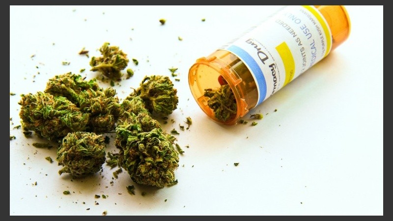 Primero fue Chubut, después Santa Fe y ahora Neuquén también aprobó el uso de cannabis medicinal.