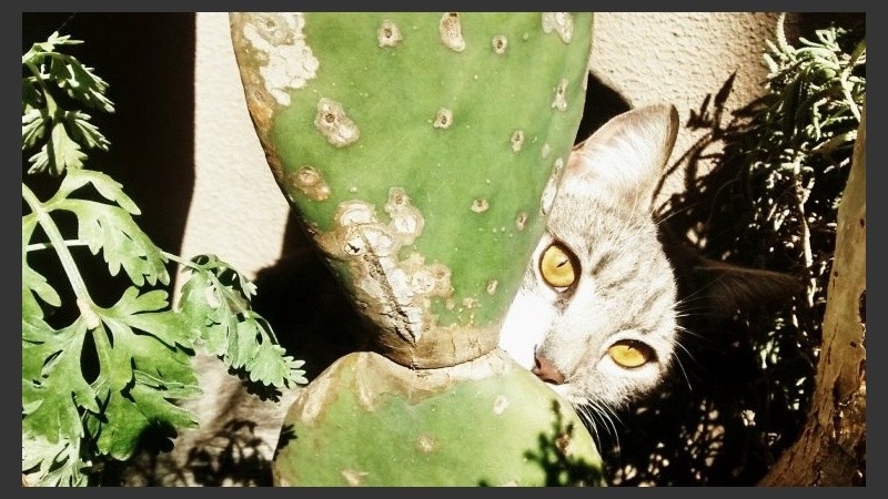 Mucho calor para empezar la semana. 