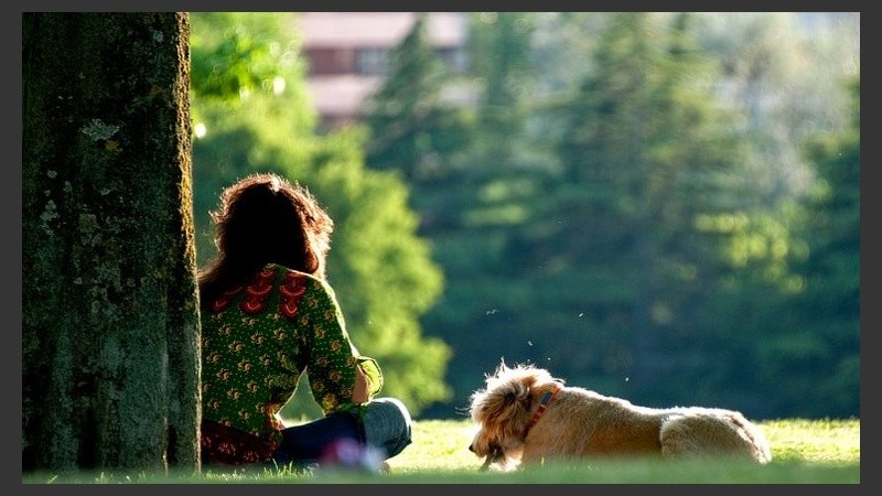 Mañana para salir al parque con el perrito. 