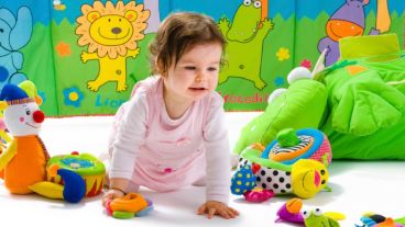 El libro procura dar respuestas a las preguntas que los educadores interesados en la primera infancia se plantean o podrían plantearse.