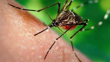 Este tipo de zika está circulando en el país hace algún tiempo.