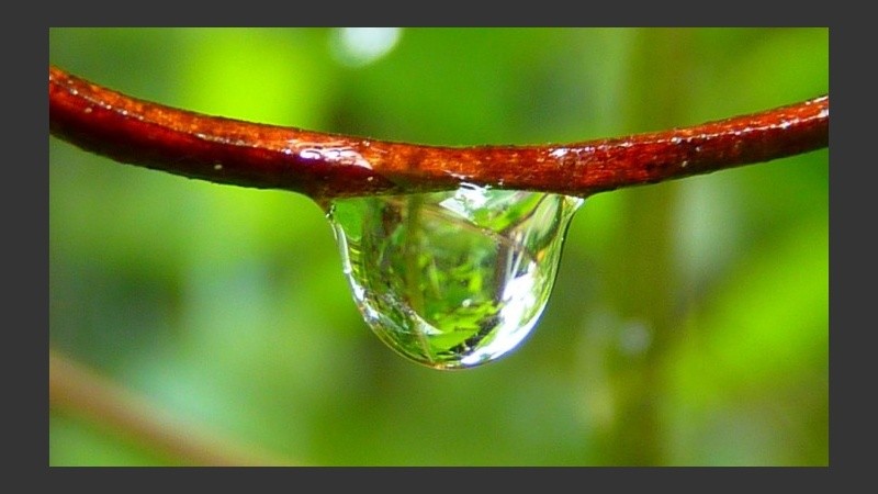 Gotitas de agua por todas partes. 