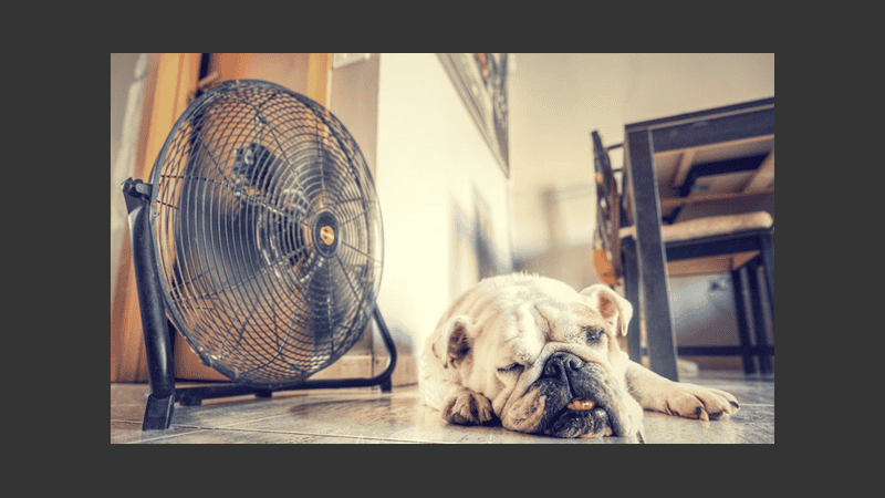 Quietud y un buen viento para pasar este domingo.