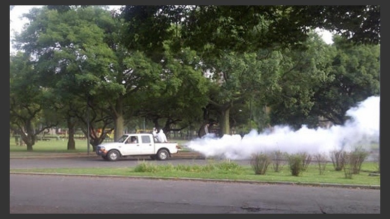 Intensificaron la fumigación en los parques.