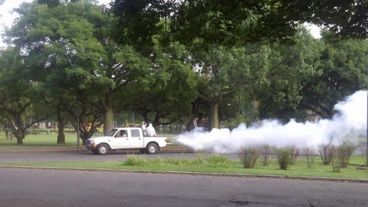Intensificaron la fumigación en los parques.
