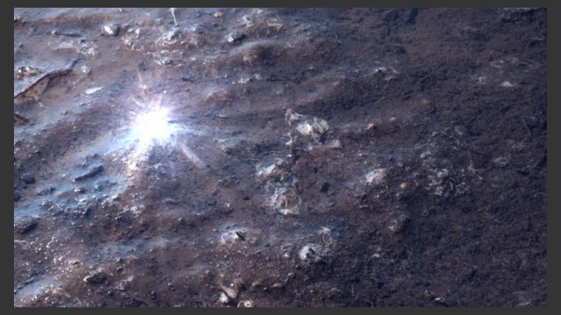 Un poco de sol para secar el barro después de tanta lluvia. 