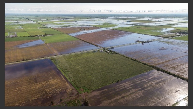 El sector tambero fue uno de los más afectados por las inundaciones.