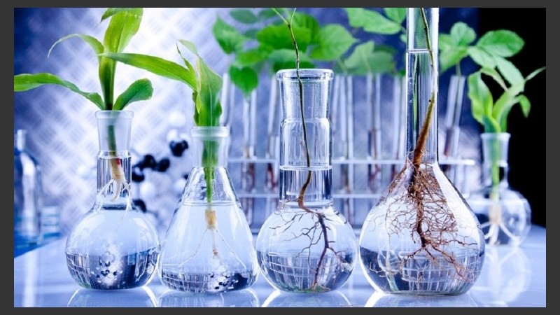 La beca será otorgada por Bec.ar.