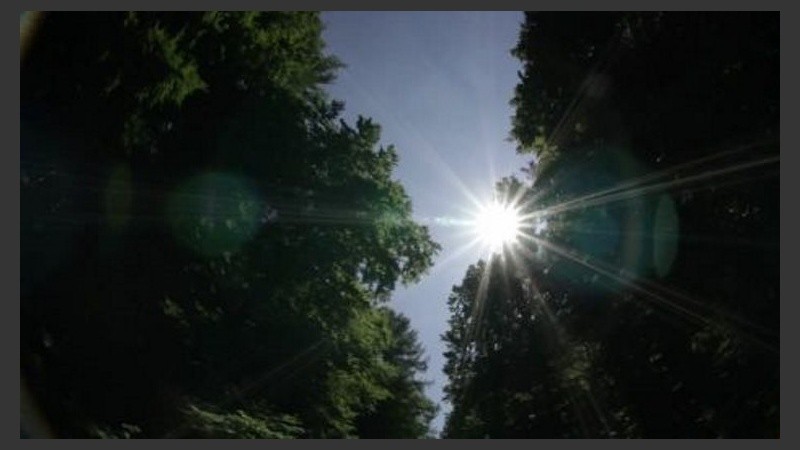 Entre el verde del verano, el celeste de un cielo limpio. 