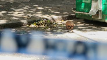 El cráneo fue encontrado en Montevideo al 700.
