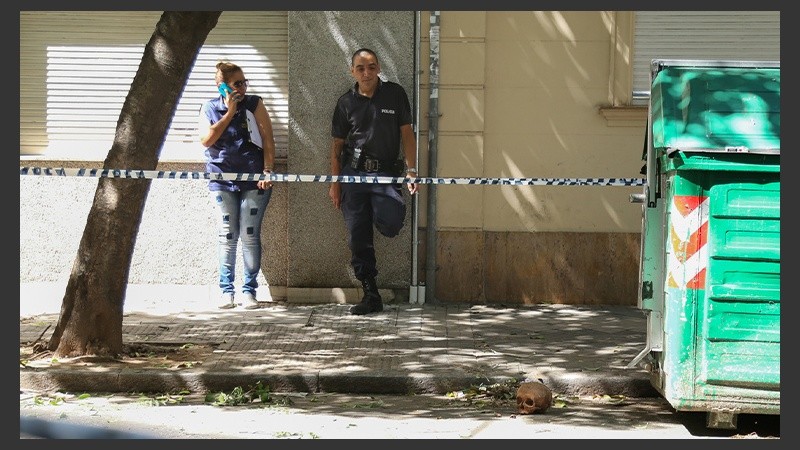 El cráneo fue encontrado en Montevideo al 700.