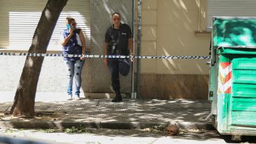 El cráneo fue encontrado en Montevideo al 700.
