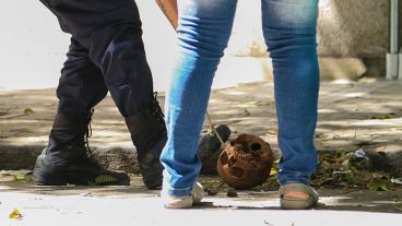 El cráneo fue encontrado en Montevideo al 700.