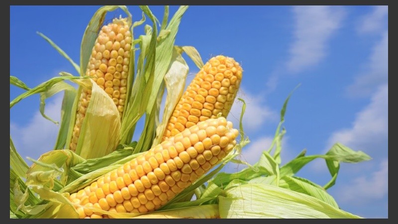 Se llevará a cabo desde abril hasta junio.