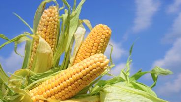 Se llevará a cabo desde abril hasta junio.